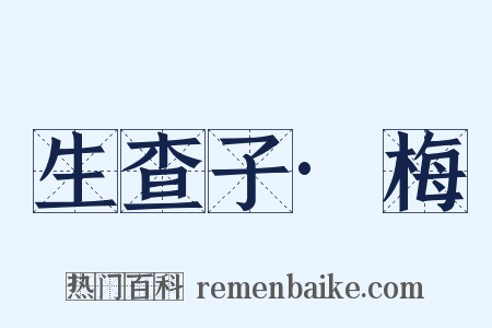 生查子·梅是什么意思的图片